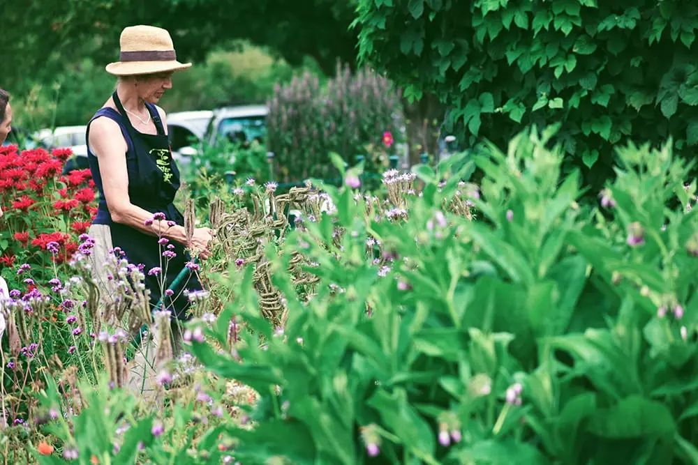 Whatcom Pollinator Garden
