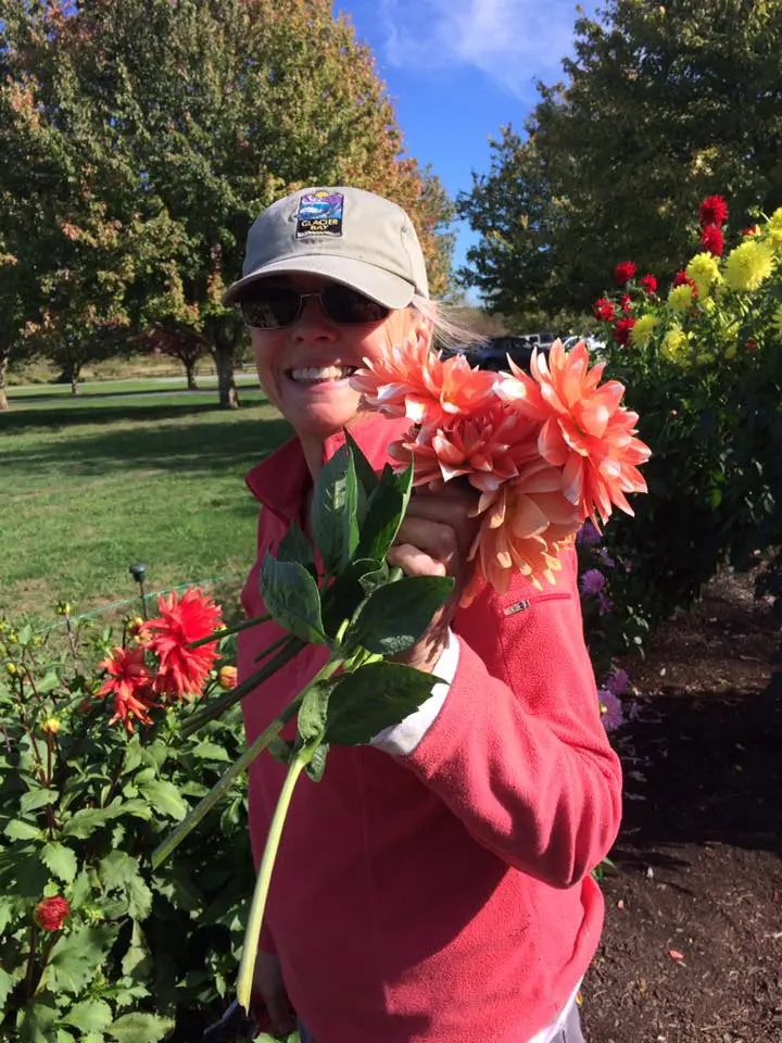 Whatcom Dahlias Master Gardeners