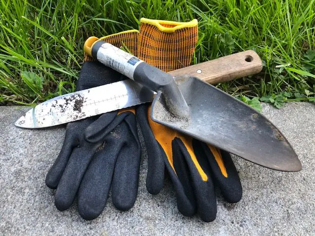 Tools May Garden Tips
