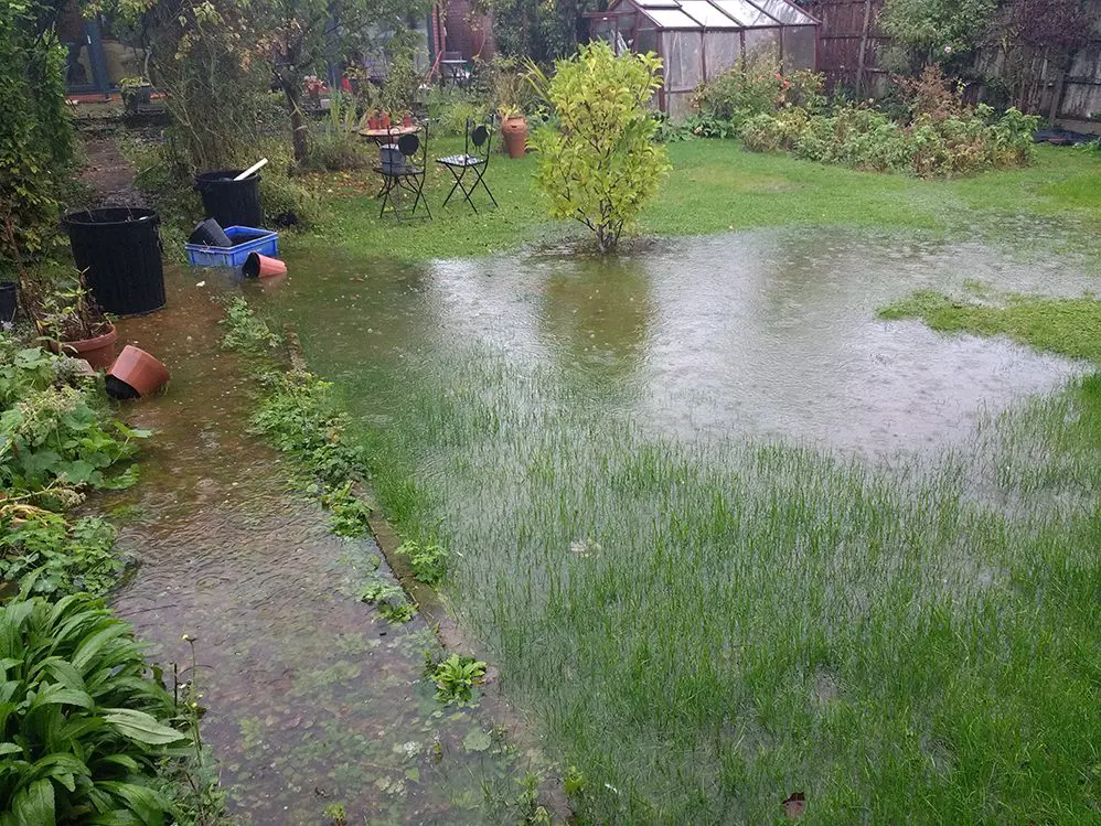Flooded,english,organic,garden,with,pools,and,ponds,of,water