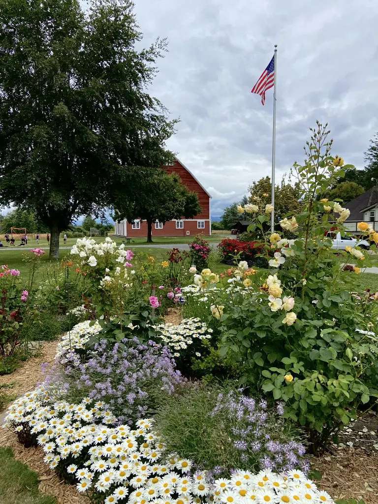 Db07eddf 85e1 4daa B198 E61419c26101 1 105 C