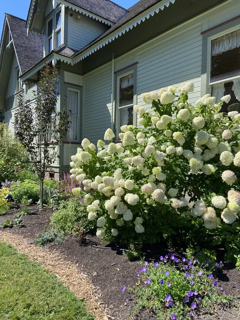 Febeb24a 4915 47b0 9960 8c98017e6c65 1 105 C