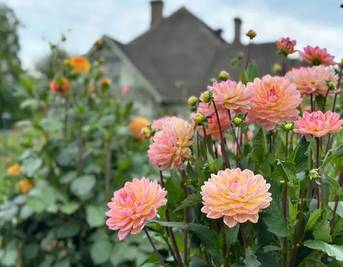 Screenshot 2024 08 12 111311