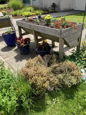 Sliderimage Therapy Garden 2